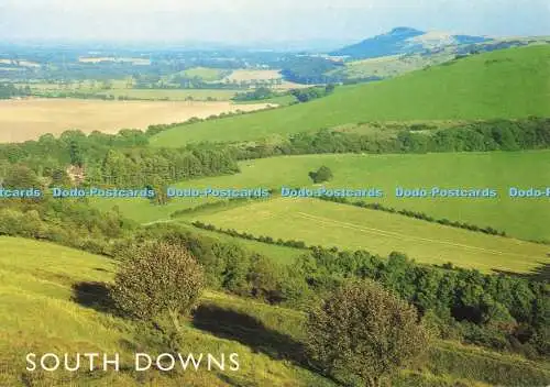D252003 South Downs Chanctonbury Ring From Above Storrington J Salmon