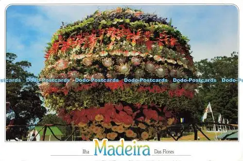 D252107 Ilha Madeira Das Flores Dima Angel H Gomez