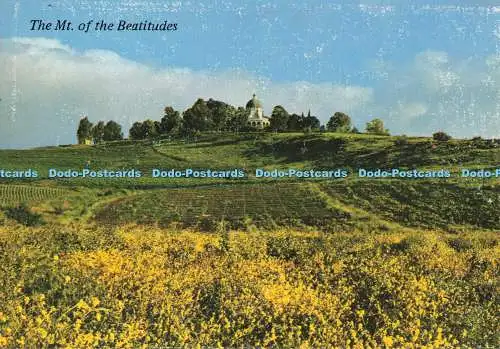 D252301 Der Berg der Seligpreisungen Palphot