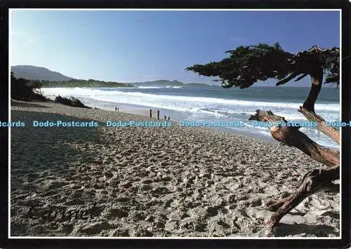 D252342 Monterey Peninsula Blake Batista Moon Studio