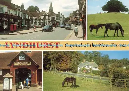 D252423 Lyndhurst Capital of the New Forest J Salmon Multi View