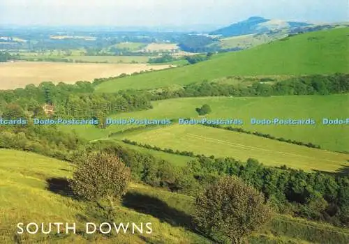D252489 South Downs J Salmon