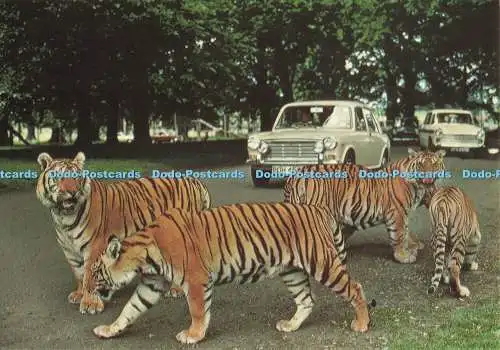 D252778 Betten Woburn Wildtierreich Woburn Park Jarrold