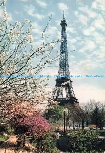 D254393 Paris La Tour Eiffel Greff