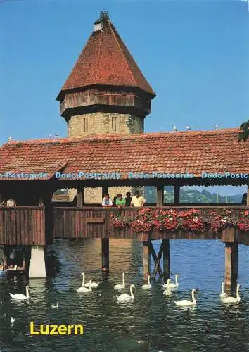 D254551 Luzern Photoglob
