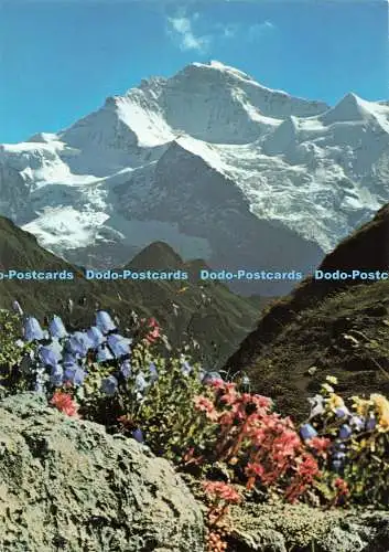 D259573 Suisse Jungfrau Photoglob AG Orell Fussli