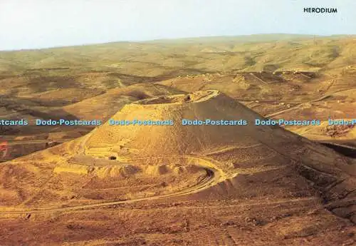 D253565 Herodium Palphot
