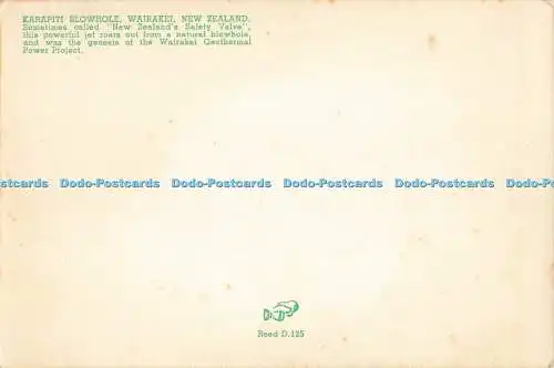 D259742 Neuseeland Wairakei Karapiti Blowhole Kiwi