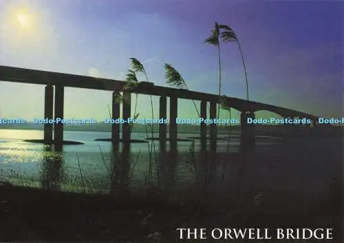 D257119 The Orwell Bridge J Salmon