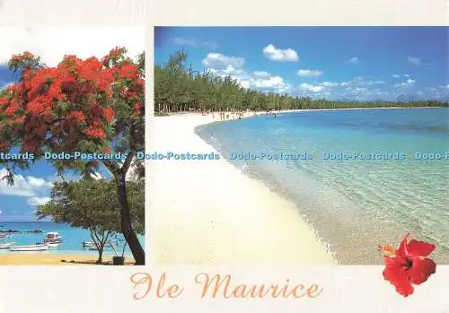D253753 Ile Maurice Arts J C Nourault Multi View