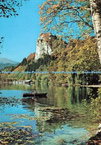 D255044 Bled A Nemec
