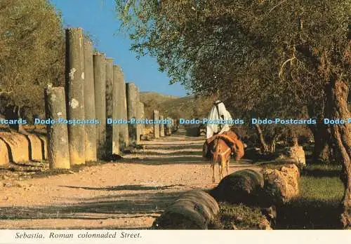 D253768 Sebastia Roman Colonnade Street Palphot
