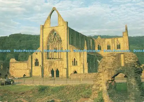 D259889 Tintern Abbey Judges Postcards Ltd C 9769