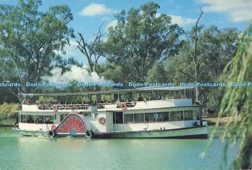 D255149 Raddampfer auf dem Murray River Vic Department of State Development 1