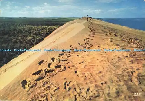 D262623 La Dune Du Pilat d Arcachon Modernes Theojac 1972