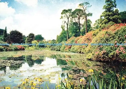 D255274 Sheffield Park J Arthur Dixon