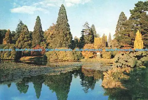 D255275 Sussex Sheffield Park Gardens J Arthur Dixon