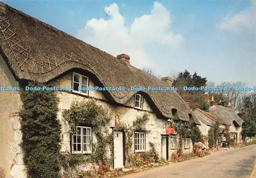 D262742 Isle of Wight Brighstone J Arthur Dixon