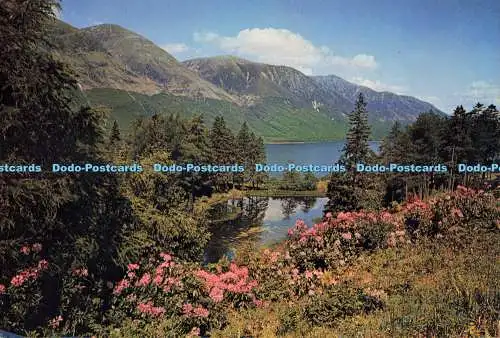 D262994 Lochy Inverness Shire J Arthur Dixon John R Edwards