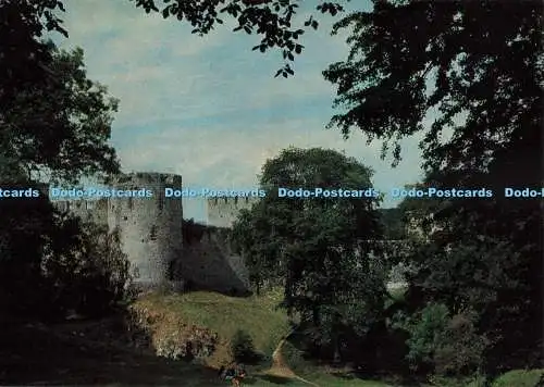 D260440 Gwent Chepstow Castle View of Western End of Castle Picture Point Ltd W