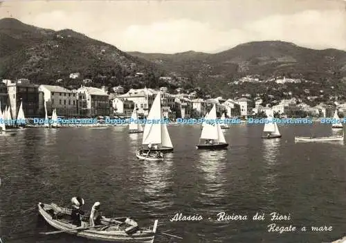 D263095 Alassio Riviera dei Fiori Regate e Mare Bromofoto RP 1956