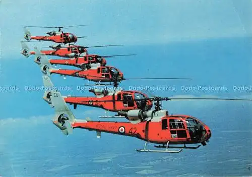 D260595 Der Gazelle-Mehrzweckhubschrauber in der Royal Navy für Pilot Tr