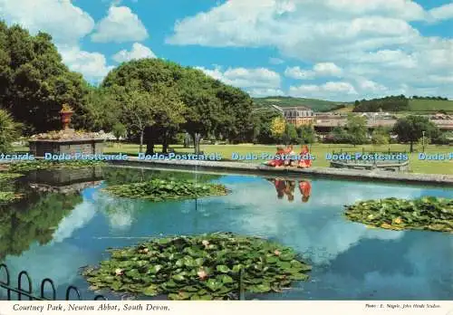 D257973 South Devon Courtney Park Newton Abt John Hinde E Nagele