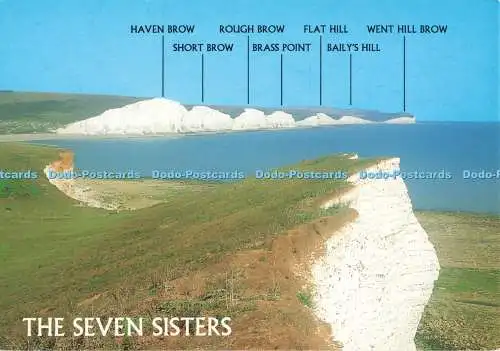 D263296 The Seven Sisters J Salmon