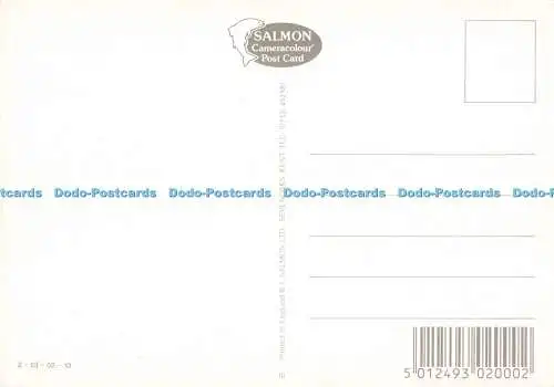 D263352 Cheddar J Salmon Multi View