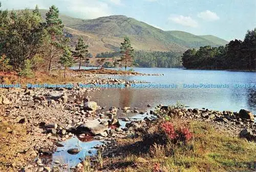 D256044 Inverness Shire Loch an Eilean Aviemore J Arthur Dixon