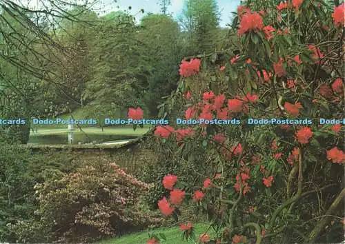 D263571 Devon A View From the Shell House Beric Tempest 1979