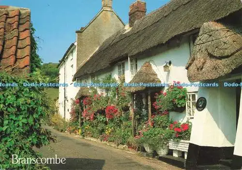 D261034 Cottages at Branscombe J Salmon Ltd Cameracolour