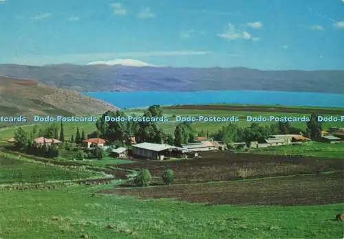 D261052 Obergaliläa Der See von Galiläa und Berg Hermon Palphot