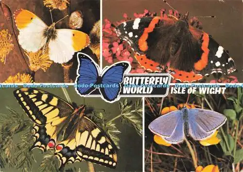 D261055 Isle of Wight Butterfly World Red Admiral Orange Tip J Arthur Dixon Ltd