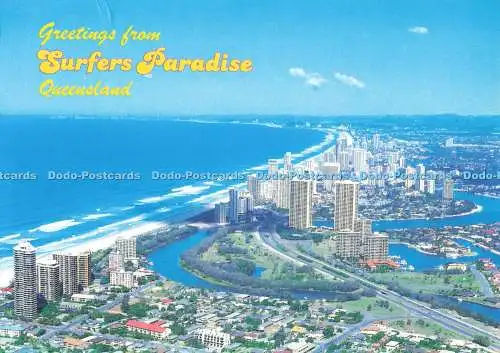 D258469 Queensland Greetings From Surfers Paradise Sunbird Darren Partridge