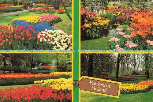 D261192 Keukenhof Holland Gebr Spanjersberg Multi View