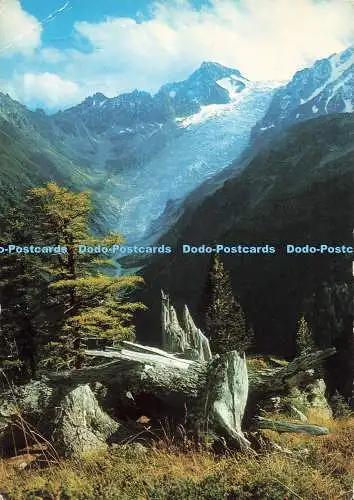 D258785 Glacier du Trient Et Pointe d Orny Darbellay