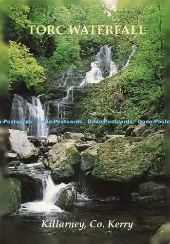 D259026 Killarney Co Kerry Torc Waterfall John Hinde Ltd Ivan D Driscoll
