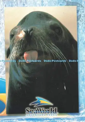 D259360 Seelöwen SeaWordl Adventure Parks I D Gear Inc 2002