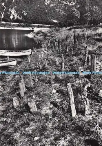 D287809 Lago di Ledrom 655 Trentino Le Palafitte RP