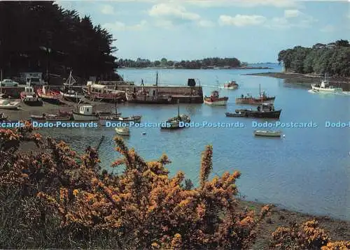 D283147 Le Golfe du Morbihan Le Petit Port de Sene Port Anna Les Editions de Bre