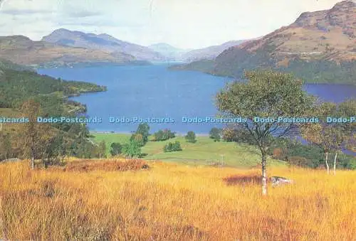 D282347 Inverbeg Loch Lomond The Bonnie Banks of Loch Lomond White Heather Publi