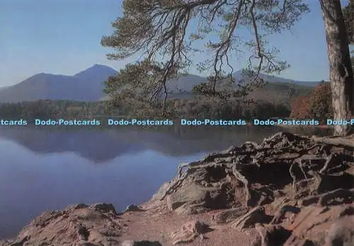 D277345 Keswick Friars Crag on Derwentwater Larkfield Druck Sanderson und Dix
