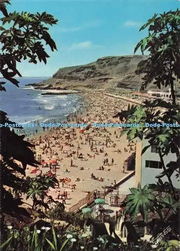 D283682 Lima Peru Beach La Herradura Swiss Foto S A Faucett Airlines 1971