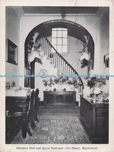 D275541 Hawkshead Ivy House Eingangshalle und Wendeltreppe F Middleton 1964