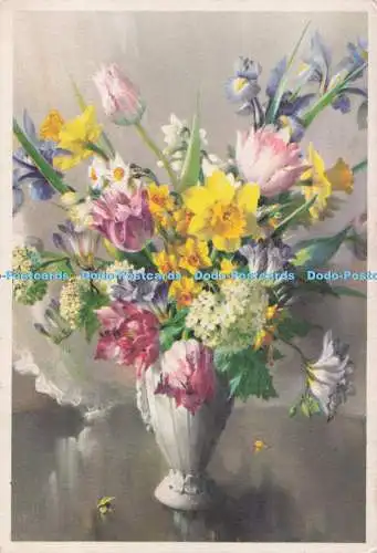 D275481 Spring Display Royle Publications Ltd Vernon Ward