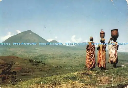 D268674 Ostafrika Birunga Vulkane Afrika in Bildern Die Elitegruppe