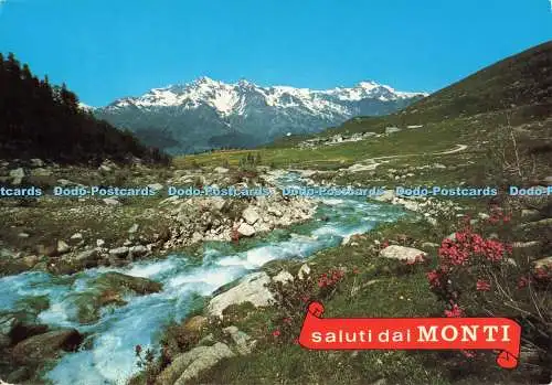 D267885 Saluti da Monti F Denti 1981
