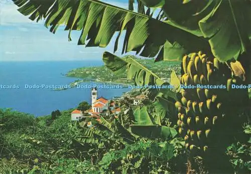 D267880 Funchal Madeira Westernansicht Hans Huber F Ribeiro 1989