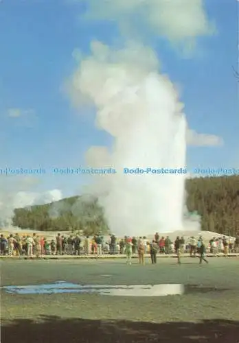 D271080 Yellowstone National Park Old Faithful Geyser Hamilton Stores H S Crocke